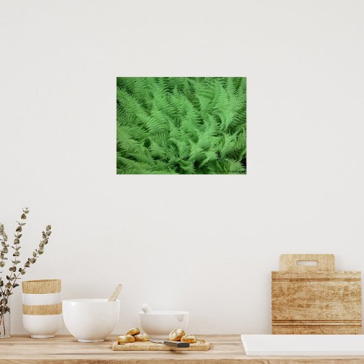 Ferns Poster (Küche)
