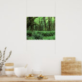 Ferns über einen Regenwaldfußboden bei Olympia Poster (Küche)