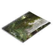 Ferns und Moss Covered Tree Nature Foto Notizblock (Linke Seite)