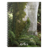 Ferns und Moss Covered Tree Nature Foto Notizblock (Vorderseite)