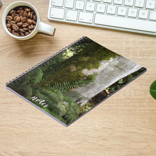 Ferns und Moss Covered Tree Nature Foto Notizblock