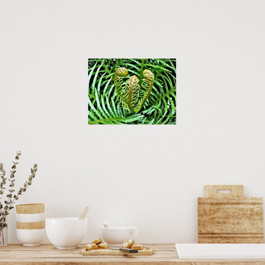 Ferns Unfurling Poster (Küche)