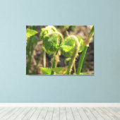Ferns Weck einfach auf Leinwanddruck (Insitu (Holzboden))
