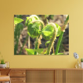 Ferns Weck einfach auf Leinwanddruck (Insitu (Wohnzimmer))