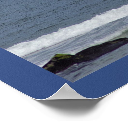 Fernsegler Poster (Ecke)