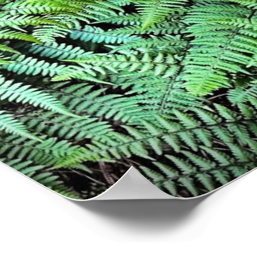 Fernseh Poster (Ecke)