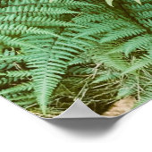 Fernseh Poster (Ecke)