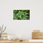 Fernseh Poster (Küche)