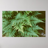 Fernseh Poster (Vorne)