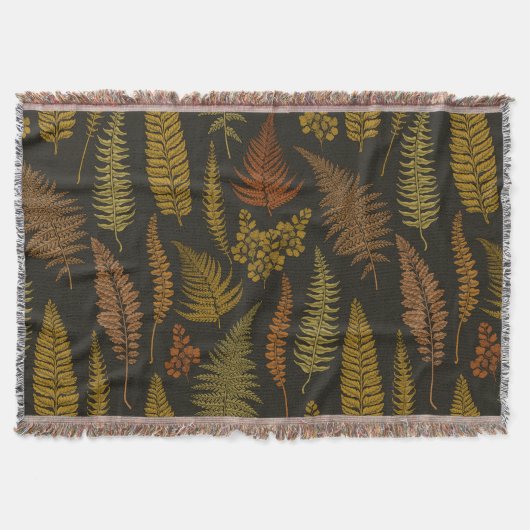 Fernss 3 decke (Vorderseite)