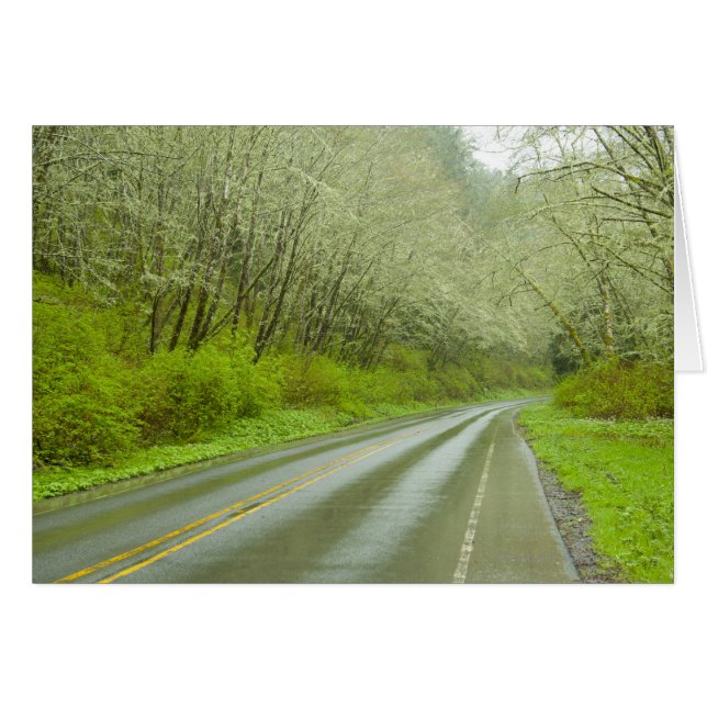 Fernstraße durch den Wald (Vorderseite (Horizontal))