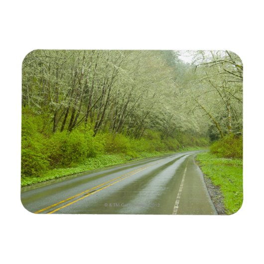 Fernstraße durch den Wald Magnet (Horizontal)
