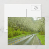 Fernstraße durch den Wald Postkarte (Vorne/Hinten)