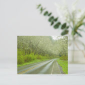 Fernstraße durch den Wald Postkarte (Stehend Vorderseite)