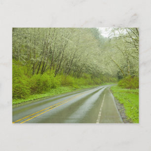 Fernstraße durch den Wald Postkarte