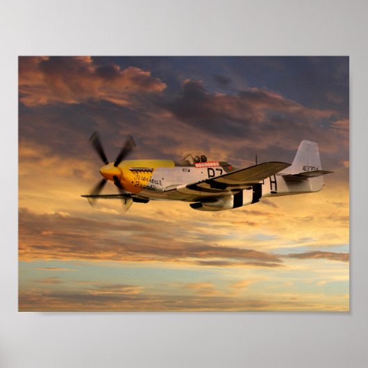 Ferocious Frankie Poster (Vorne)