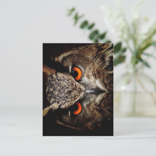 Ferocious Owl Postkarte (Stehend Vorderseite)