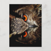 Ferocious Owl Postkarte (Vorderseite)