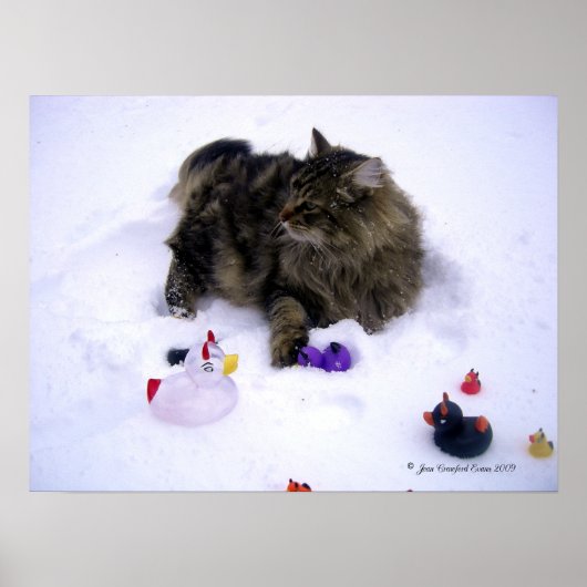 Ferocious Snow Cat Poster (Vorne)