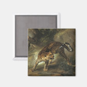 Ferocious Wild Leopard (von Jean-Baptiste Oudry) Magnet (Vorderseite/Rückseite)