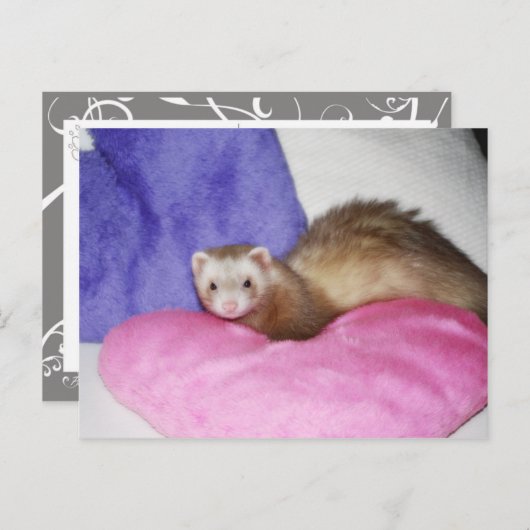 Ferret 8 postkarte (Vorne/Hinten)