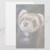 Ferret Briefpapier (Vorne/Hinten)