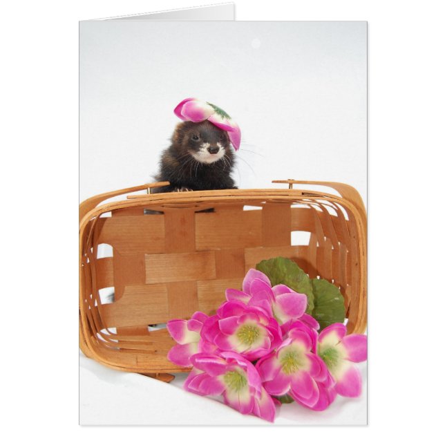 Ferret Card (Vorne)