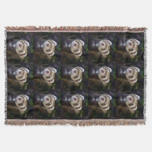 Ferret Decke (Vorderseite)