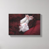 Ferret Dezember - Stretched Canvas Prints Leinwanddruck (Vorderseite)