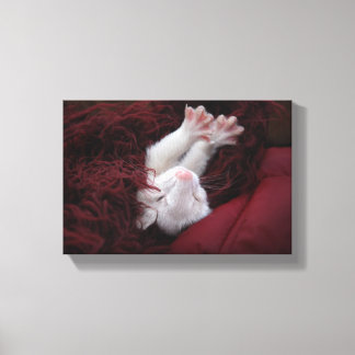 Ferret Dezember - Stretched Canvas Prints Leinwanddruck