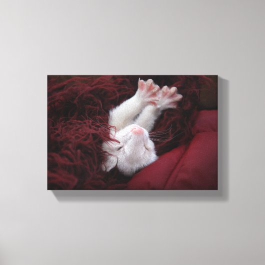 Ferret Dezember - Stretched Canvas Prints Leinwanddruck (Vorderseite)