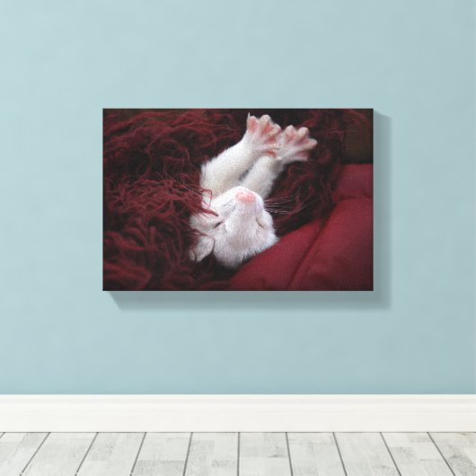 Ferret Dezember - Stretched Canvas Prints Leinwanddruck (Insitu (Holzboden))