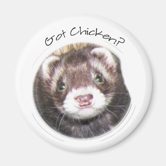 Ferret Face Picture Magnet (Vorne)