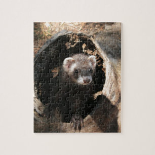 Ferret Face Puzzle