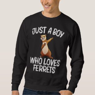 Ferret für Boys Kids Ferret Dabbing Sweatshirt