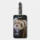 Ferret Gepäckanhänger (Rückseite vertikal)