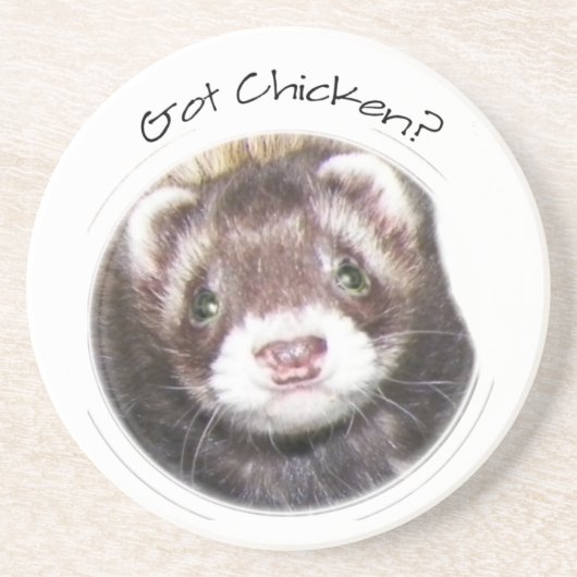 Ferret Gesicht Bild Got Hühnchen? Sandstein Untersetzer (Vorne)