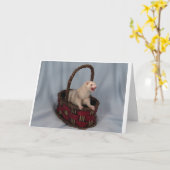 Ferret Grußkarte Karte (Gelbe Blume)