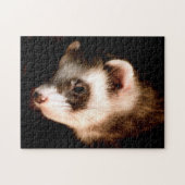 Ferret Head Nah-up, Jigsaw Puzzle (Horizontal)