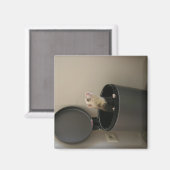 Ferret in einem Mülleimer Magnet (Vorderseite/Rückseite)