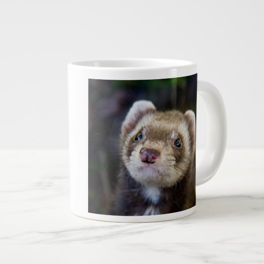 Ferret Jumbo-Tasse (Vorderseite Rechts)