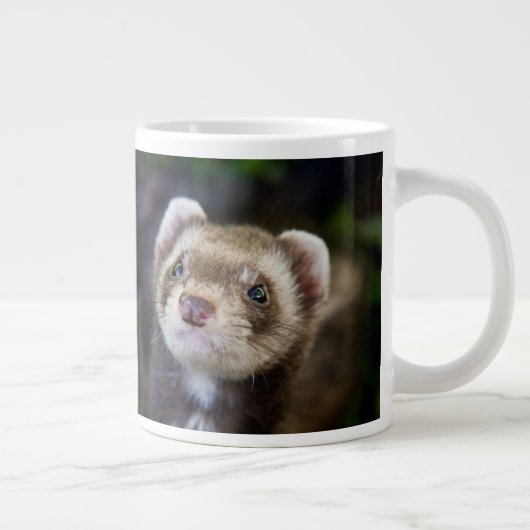 Ferret Jumbo-Tasse (Rechts)