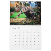 Ferret-Kalender 2021 Kalender (Jan 2027)