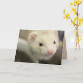 Ferret Karte (Gelbe Blume)