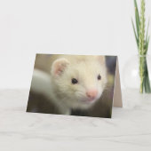 Ferret Karte (Vorderseite)