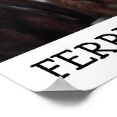 Ferret Kisses Poster (Ecke)