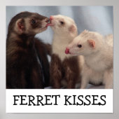 Ferret Kisses Poster (Vorne)
