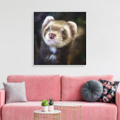 Ferret Leinwanddruck (Insitu (Wohnzimmer))