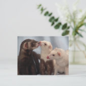 Ferret Liebe Postkarte (Stehend Vorderseite)