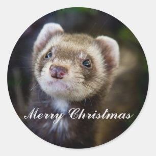 Ferret Merry Weihnachten Runder Aufkleber